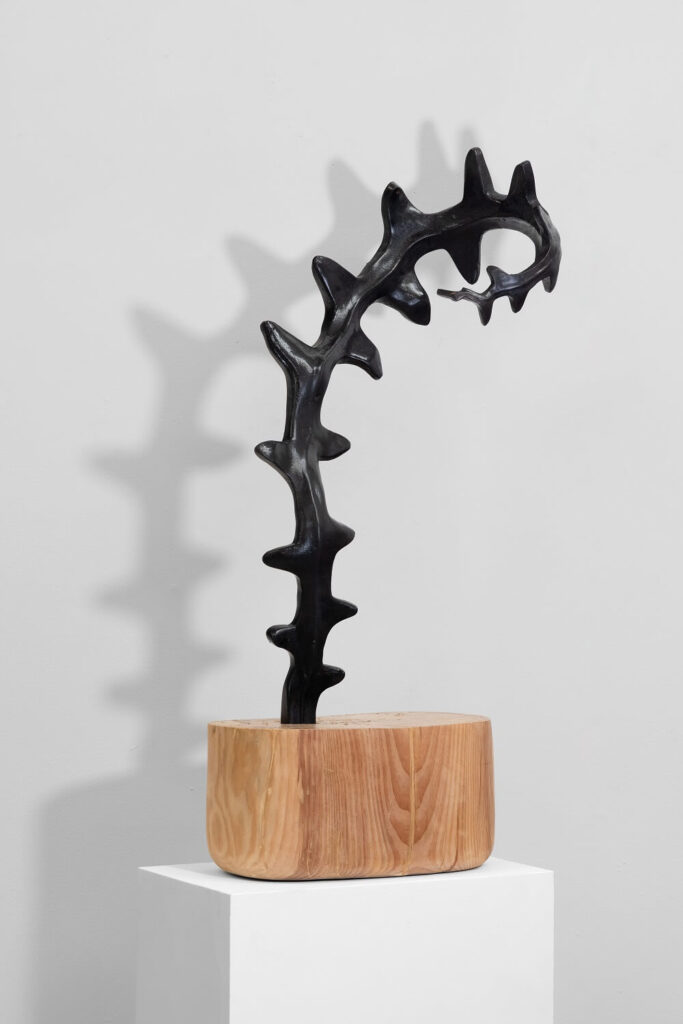 Everard Read Johannesburg Foreign Bodies Fishbone Cactus Camphor Wood and Metal (1)