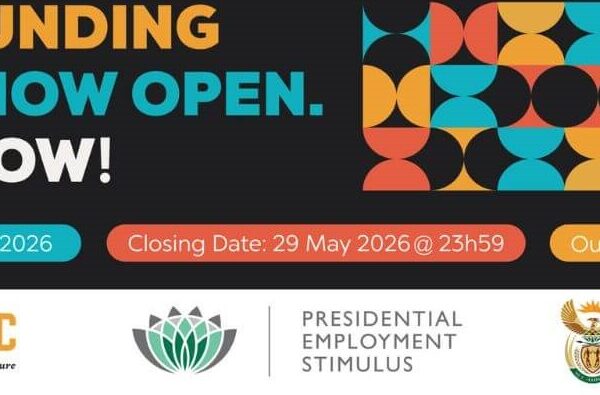 NAC PESP 7 Funding for Visual Arts South Africa 2026–2027 | National Arts Council Grant Call