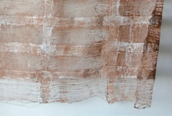 Paivapo (There once was…) | Pyda Nyariri at AVA Gallery Cape Town